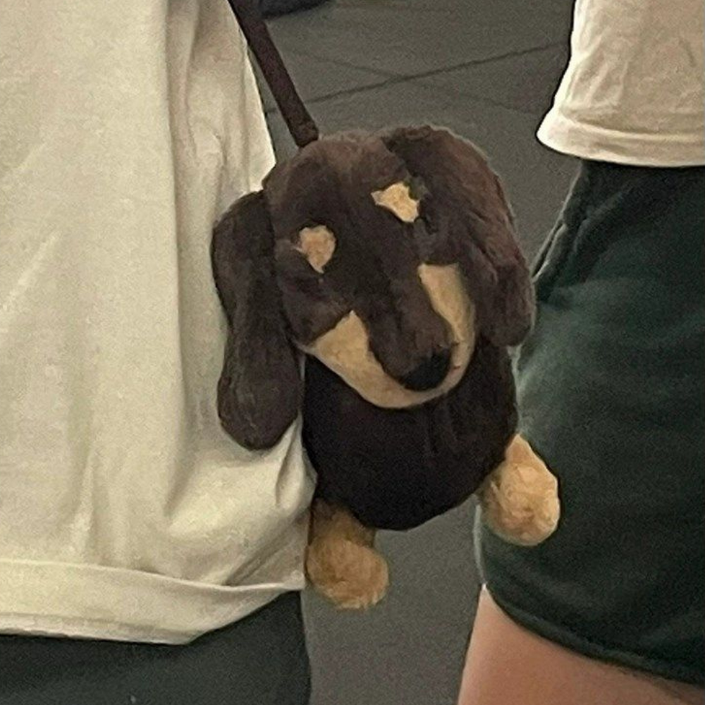 Dachshund Shoulder Bag