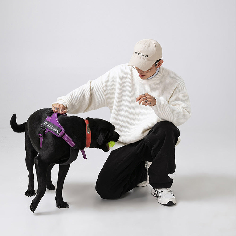 Japanese Thick Needle Pit Texture Solid Color Sweater