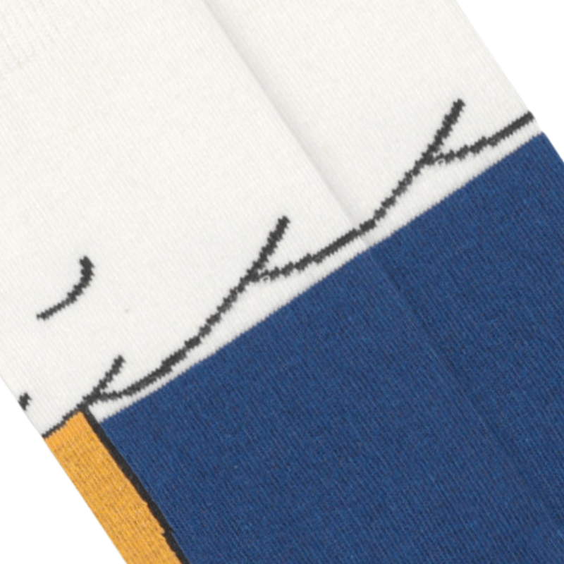 Cute Cartoon Duck Color Blocking Socks