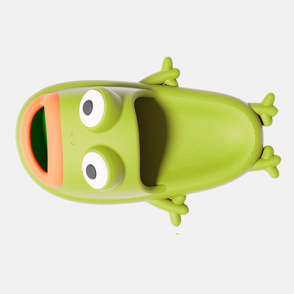 Funny Frog Slippers