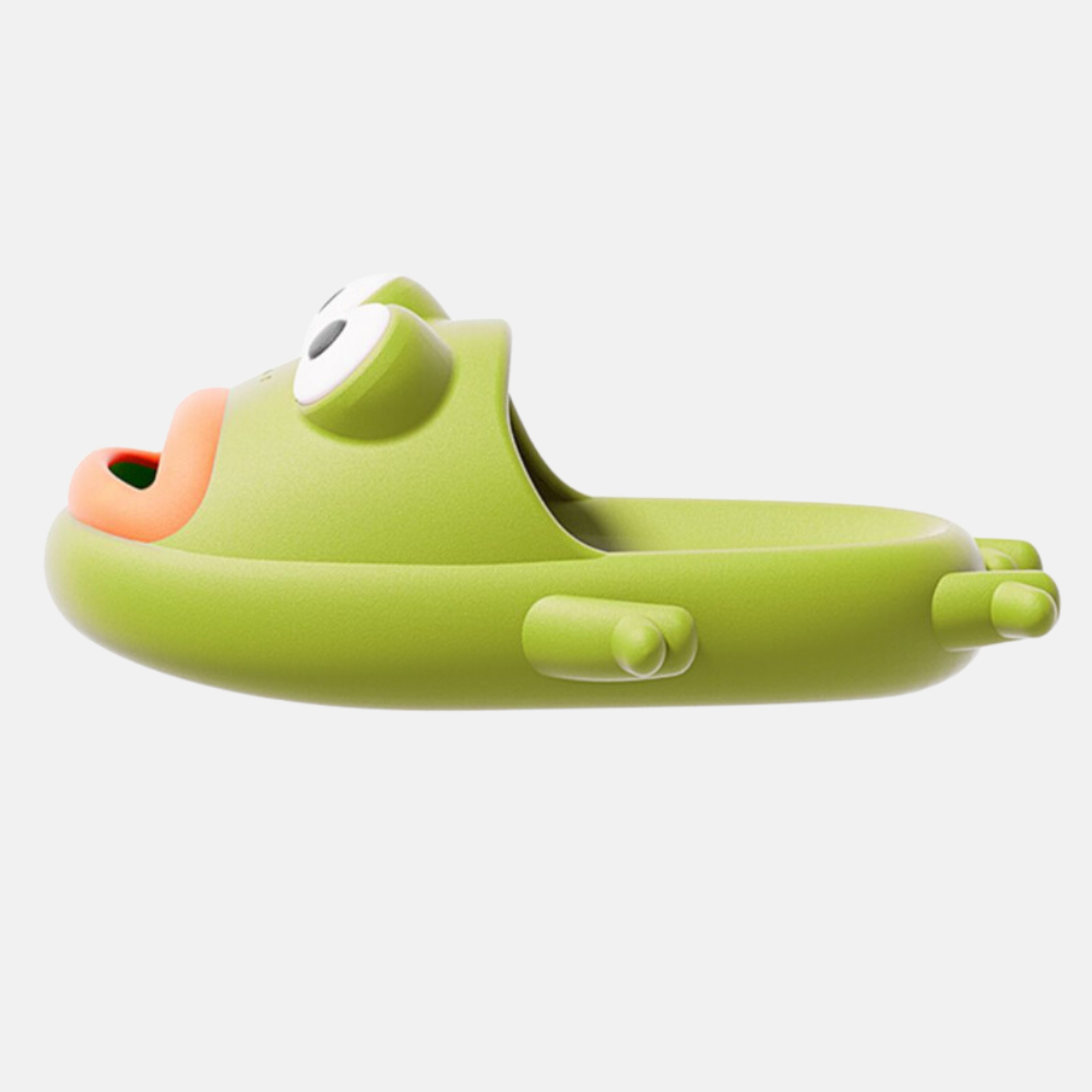 Funny Frog Slippers