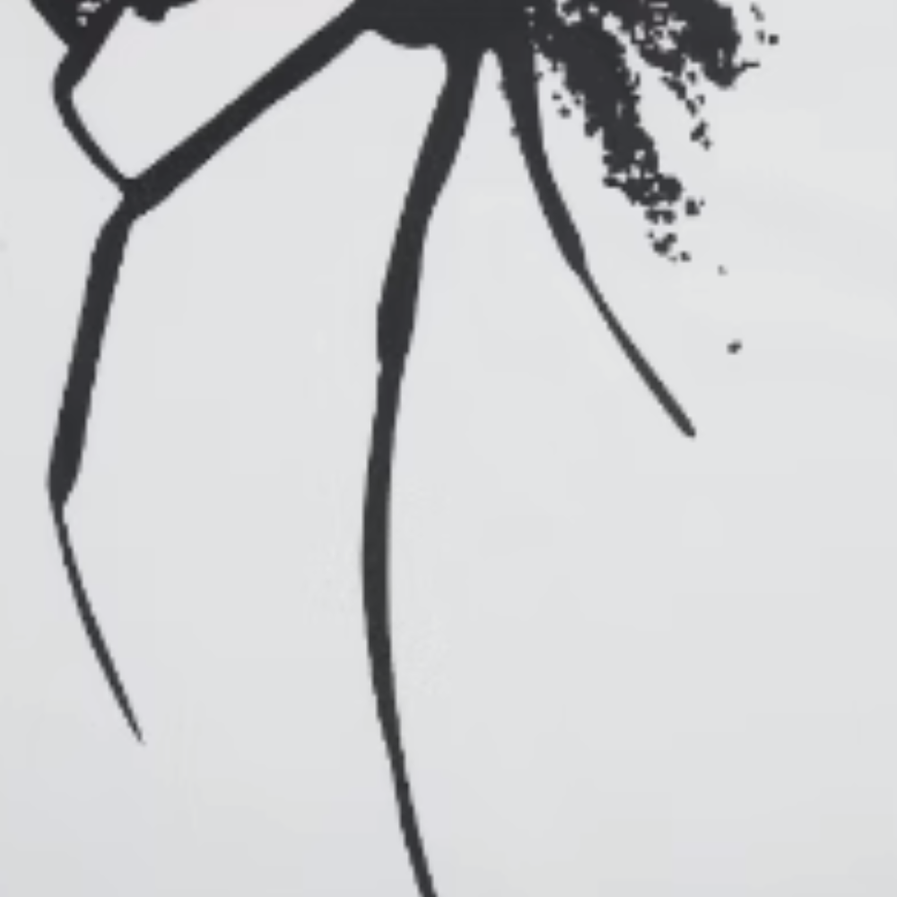High Street Spider Graphic T-shirt