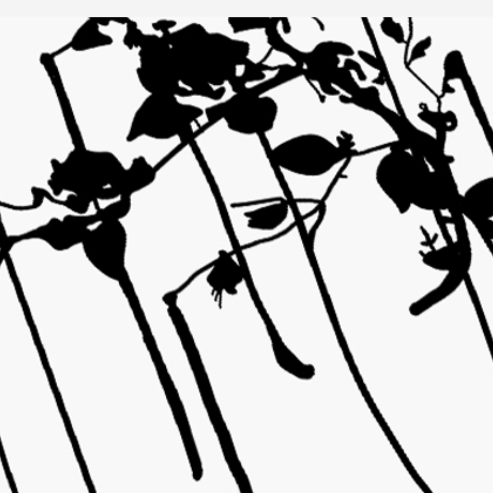 Minimal Ink Graphic Cotton T-shirt