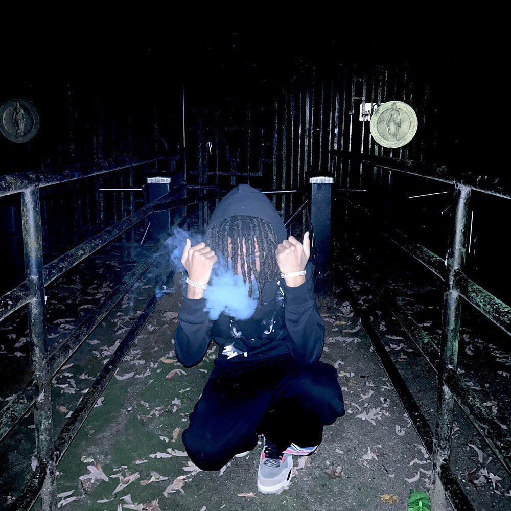 Street Cat In The Night Hoodie