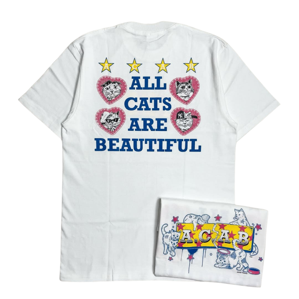 Street Philanthropist Beautiful cat