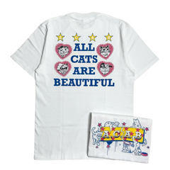 Street Philanthropist Beautiful cat Details