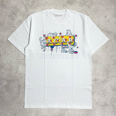 Street Philanthropist Beautiful cat Details