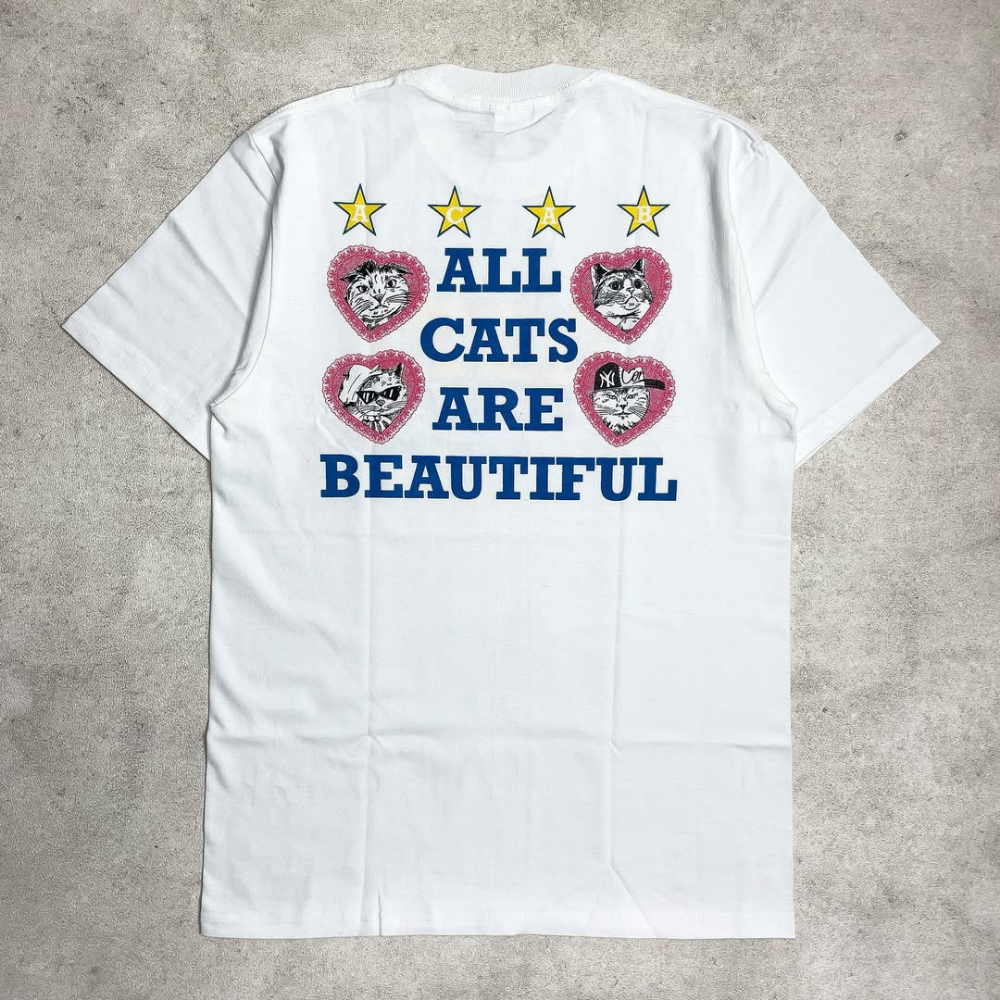 Street Philanthropist Beautiful cat