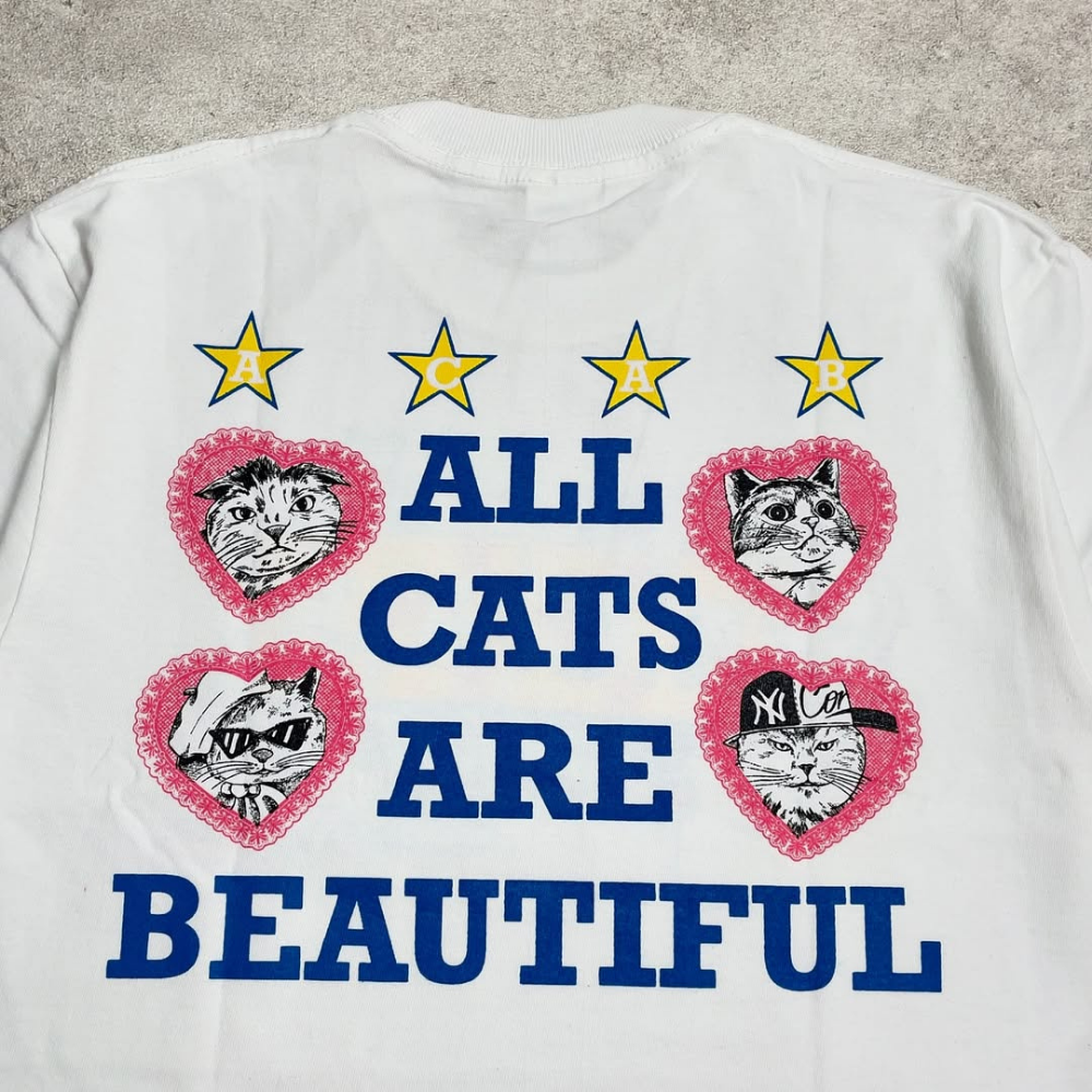 Street Philanthropist Beautiful cat