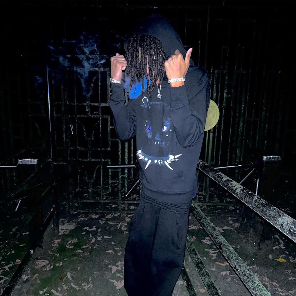 Street Cat In The Night Hoodie