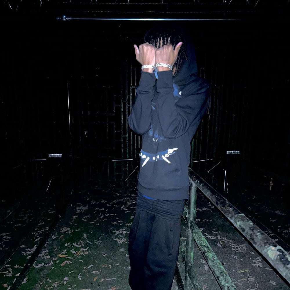 Street Cat In The Night Hoodie