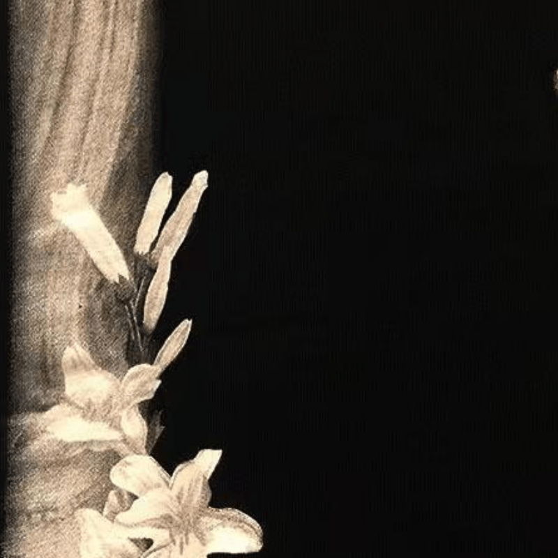 Kclot Virgin T-shirt